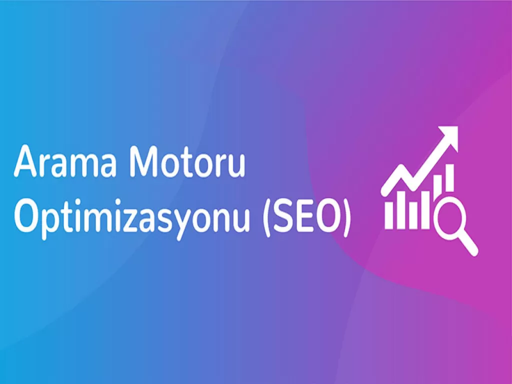 Arama Motoru Optimizasyonu